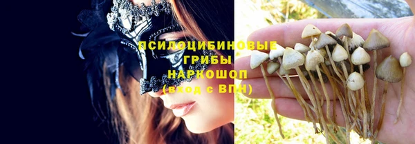 спиды Алексеевка